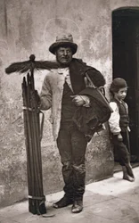 Il temperanza spazza, 1876-77